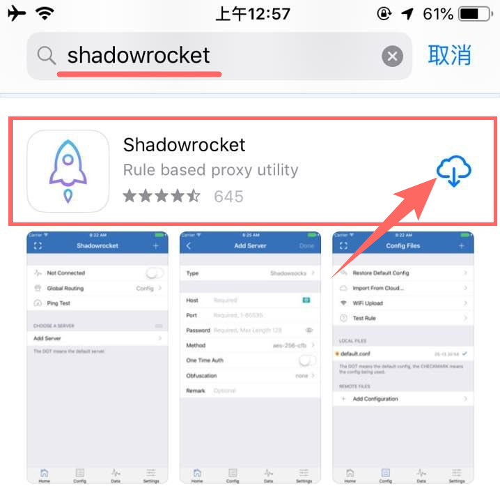 下载Shadowrocket步骤图示